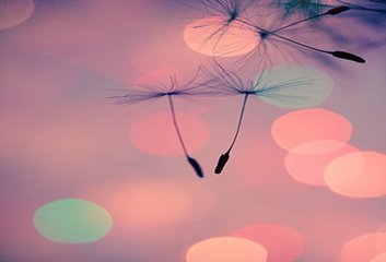 你的爱情归宿在哪里